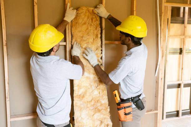 Professional Insulation Services in Lockport Heights, IL